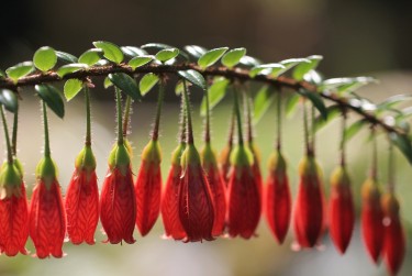 深圳光明区私人快速借钱网，轻松解决资金难题