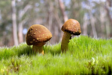 深圳光明区私人老板放款：轻松融资的秘密通道